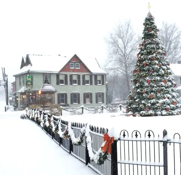 Mt-Holly-Christmas-Tree-with-Robins-Next-in-winter-Terricomputer2-e1769351586411