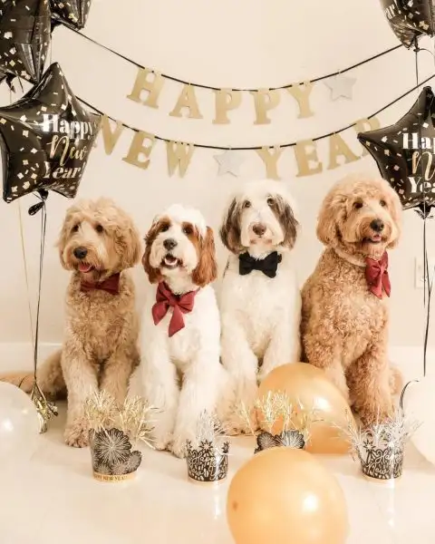 doggies-gone-wild-nye-e1767282421430