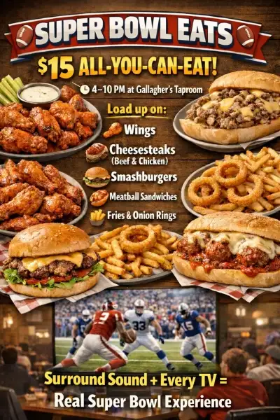 super-bowl-gallaghers